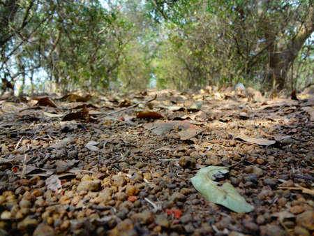 Stony road view of countrysideの写真素材
