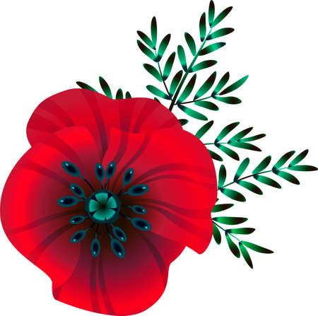 bright red poppy flower, vector illustration, flower and green blue leaves Remembrance day symbol. Lest we forget lettering.のイラスト素材