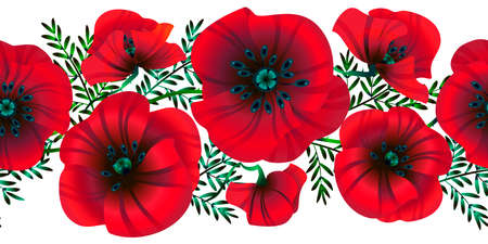 Horizontal seamless background  flowers bright red poppies, leaves and buds, vector illustration,のイラスト素材