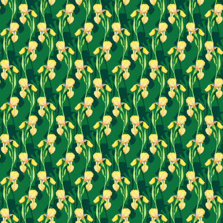 Yellow irises seamless pattern , watercolor illustration flowers. Hand drawing for printing on fabric, decoration, wallpaper, wrapping paperの写真素材