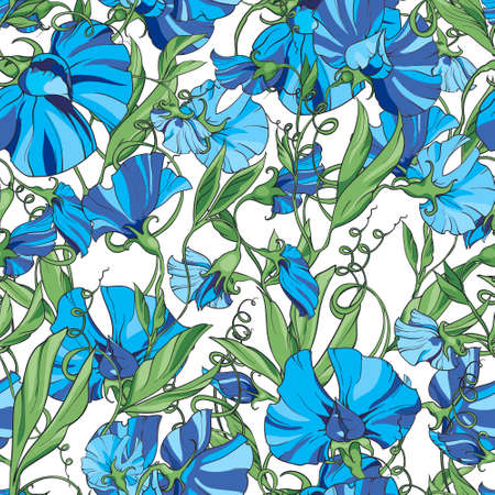 Blue flowers  sweet pea  on a white background,  floral seamless pattern. Pattern for fabric, wrapping paper, web pages, invitations, greeting cardsの写真素材
