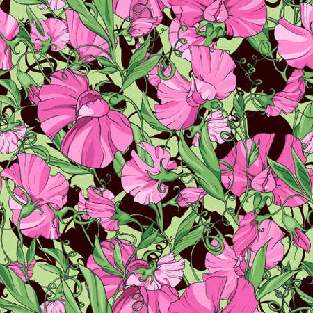 pink  flowers  sweet pea,  floral seamless pattern. Pattern for fabric, wrapping paper, package design, web pages, invitations, greeting cards.の写真素材