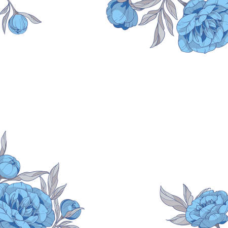square frame with blue peonies flowers, Hand drawn vector illustration.のイラスト素材