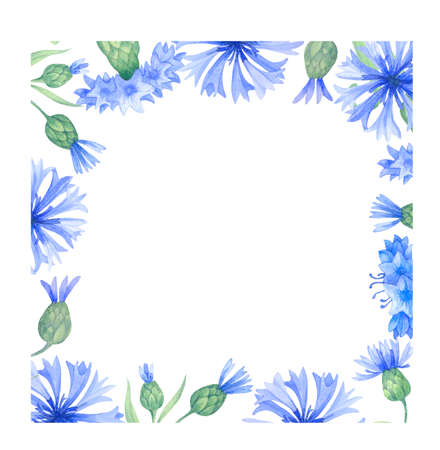 square frame with blue cornflower flowers, watercolor illustrationの写真素材