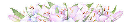 Bouquet white lilies, watercolor flower arrangementのイラスト素材