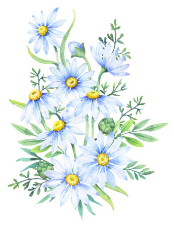 Bouquet of daisies, watercolor illustration. Chamomile floral arrangement of garden daisy flowers, petals, leavesの写真素材
