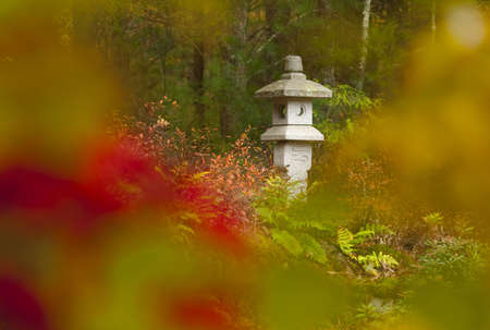 Fall japanese lantern with limited DOFの写真素材