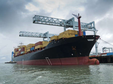 Container ship being loaded in harborの写真素材