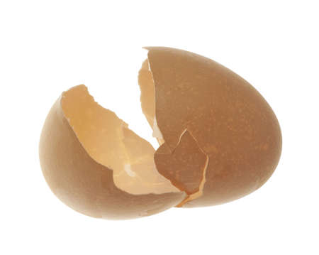 Eggshell broken in half