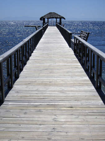 Jetty in wood extending into the oceanの写真素材