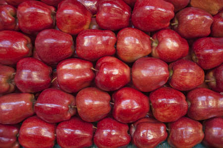 Applesの写真素材
