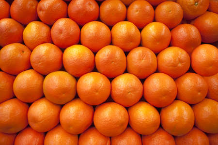 Orangesの写真素材