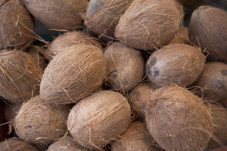 Coconuts that have been stalked on farm standの写真素材