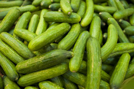 cucumber, english, firm, green, market, ready, ripe, saleの写真素材