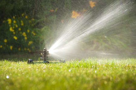 Lawn sprinkler spraying water over green grass in summer の写真素材