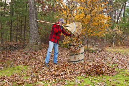Senior raking autumn leaves in his backyardの写真素材