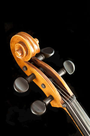  Cello scroll and peg adjustmentsの写真素材