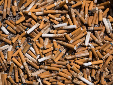 Cigarette buttsの写真素材