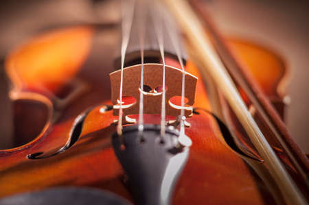 Violin bridge with very limited depth of fieldの写真素材