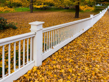 White picket fenceの写真素材