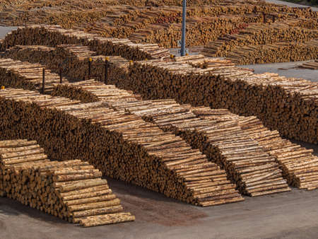 Wooden logs in a lumber yardの写真素材