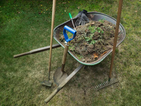 Wheelbarrow filled with weeds after weeding the lawnの写真素材