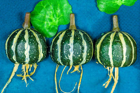 three exotic round vegetables in dark green color on a blue tableの写真素材