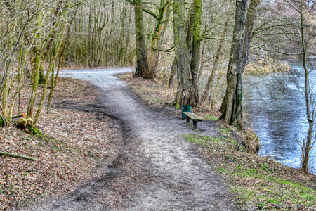 dirt road in the countryside with trees and green foliage in spring