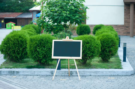 Advertising billboard among the park. Sunny dayの写真素材