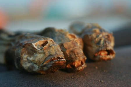 Three dried fish on a blurred background