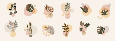 Abstract floral compositions. Boho story templates. Fluid organic shapes, neutral colors. Bohemian exotic leaf prints. Mid Century Modern design. Artistic leaves illustrationのイラスト素材