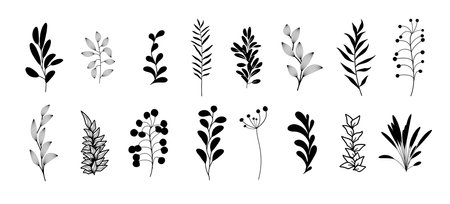 Bohemian style plants, branches, twigs. Collection of botanical black home wall art decor boho elements isolated on white background. Floral design bundleのイラスト素材