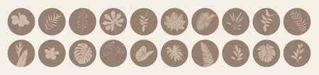Abstract artistic organic story highlight cover templates isolated on white background. Botanical illustration in neutral earth tone colors. Hipster design elements setのイラスト素材