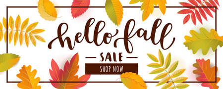 Hello Fall Sale horizontal promotion banner. Bright warm colors design with a frame. Scattered flat colorful realistic autumn leaves with shadows isolated on white backgroundのイラスト素材
