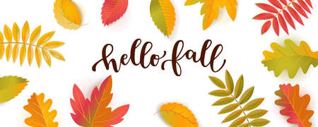 Hello Fall Sale horizontal promotion banner. Bright warm colors design template. Vivid colorful autumn leaves with shadows isolated on white backgroundのイラスト素材
