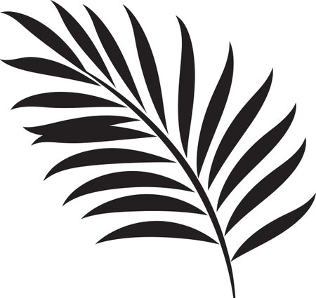 Palm leaf silhouette isolated on white background. Black and white vector illustration.のイラスト素材