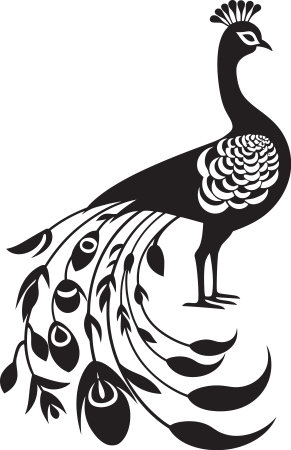 Regal Plumage Elegance Peacock Emblem Design Peacocks Radiant Charm Vector Logo Designのイラスト素材