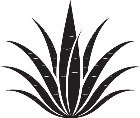Organic Oasis Black Aloe Plant Logo Nature s Harmony Vector Aloe Vera Iconのイラスト素材