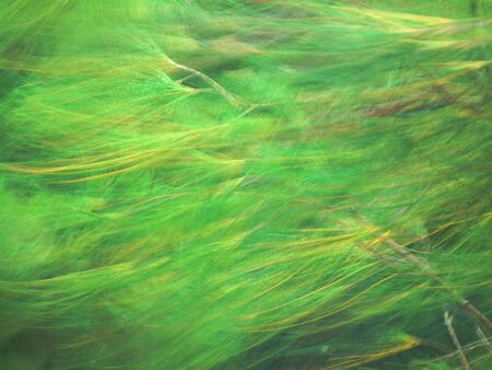 wind paintの写真素材