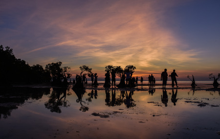 People enjoying evening, Mangrove in Walakiri Beach, after sunset, East Sumba, Indonesiaの写真素材