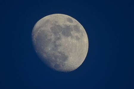 macrophoto of moon on a blue background