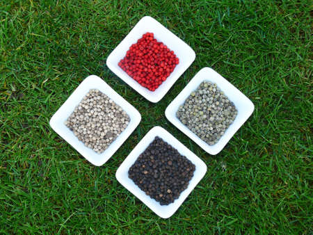 four kinds of spices on the green grass
