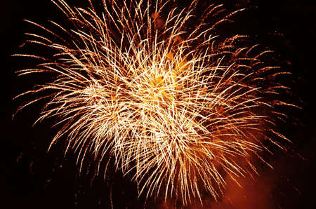 fireworks in the night sky