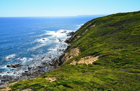View of the Pacific Ocean from the Cape of Good Hope, Victoria, Australiaの写真素材