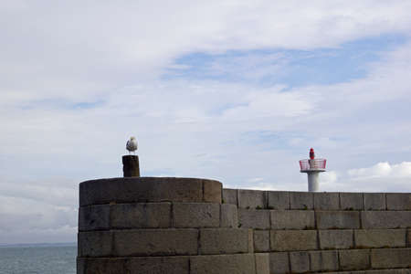 Seabird at the Old Howth Harbor Lighthouse Pier. The lighthouse guards the entrance to the port of Howth.の写真素材