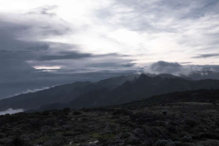 Kilimanjaro top view from shira camp, the highest mountain of Africaの写真素材