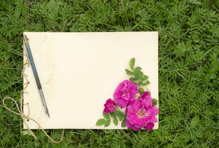 handmade drawing pad with flowers and leaves of wild rose and old pen on the background of grassの写真素材