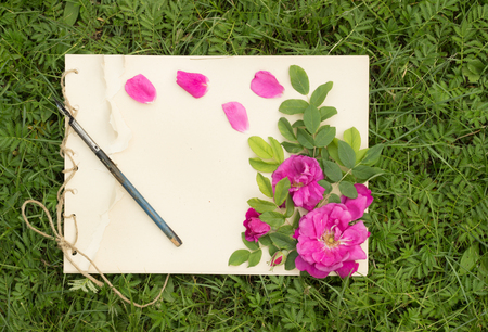 handmade drawing pad with flowers and leaves of wild rose and old pen on the background of grassの写真素材