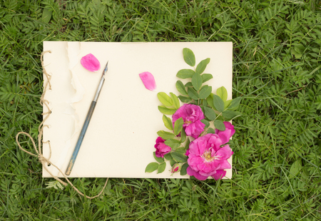 handmade drawing pad with flowers and leaves of wild rose and old pen on the background of grassの写真素材