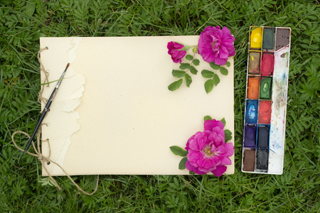 handmade sketchbook with flowers and leaves of wild rose, watercolor paints and brush on the background of grassの写真素材